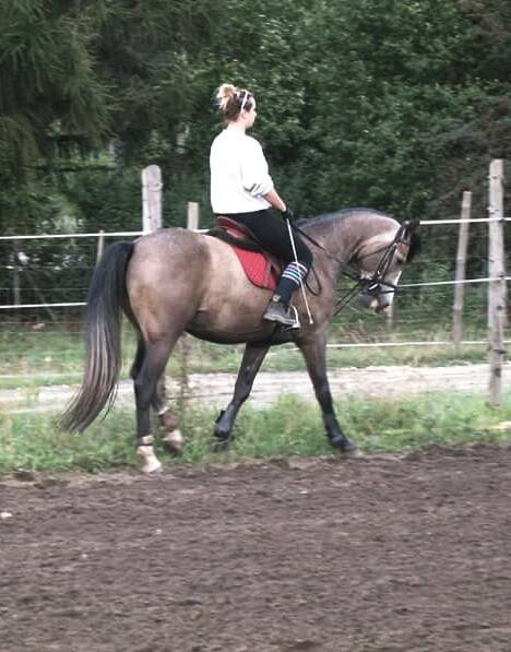 12321622_994659707288548_7261338298467 702029_n(1) — kopia